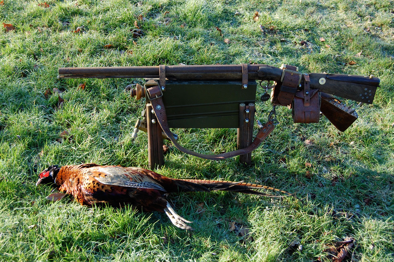 gun-dog-with-pheasant